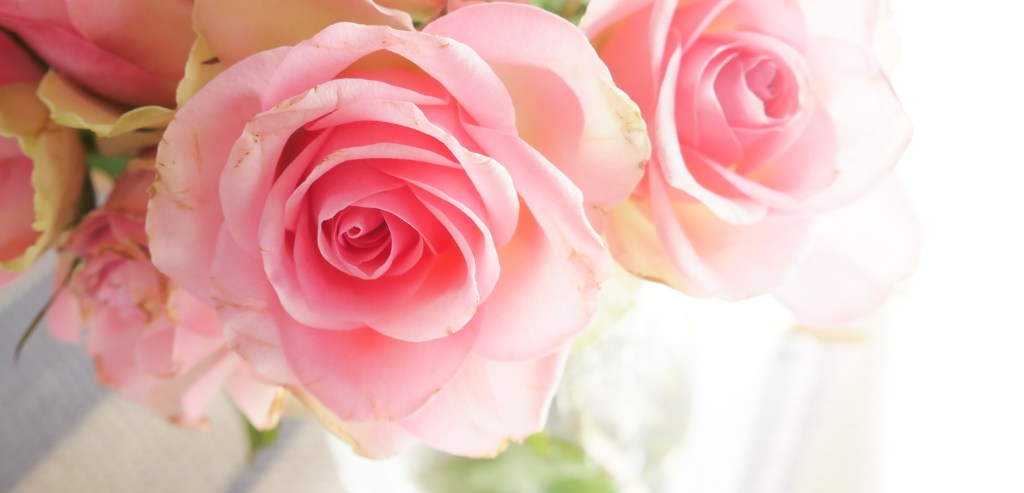 ♡ #3 The responsibility of being a&nbsp;human