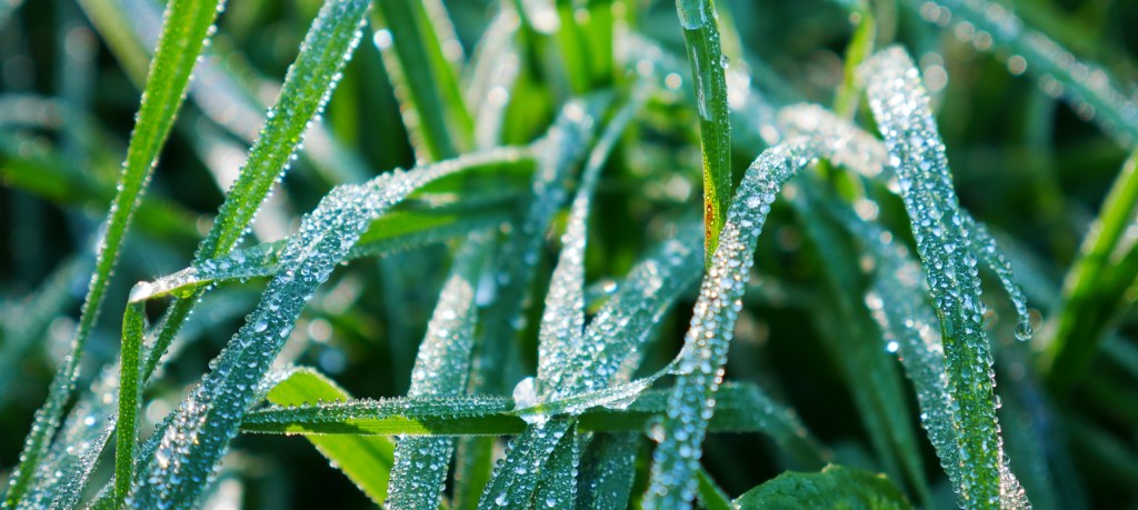 ♡ #8 Do what you&nbsp;love