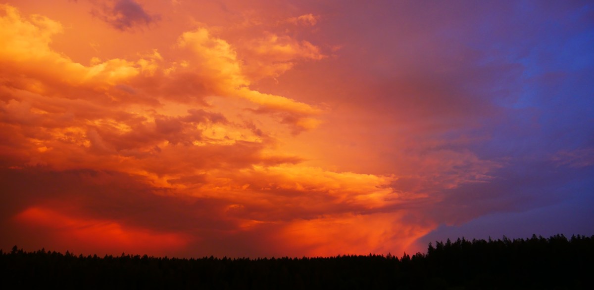 ♡ #22 Night&nbsp;walks